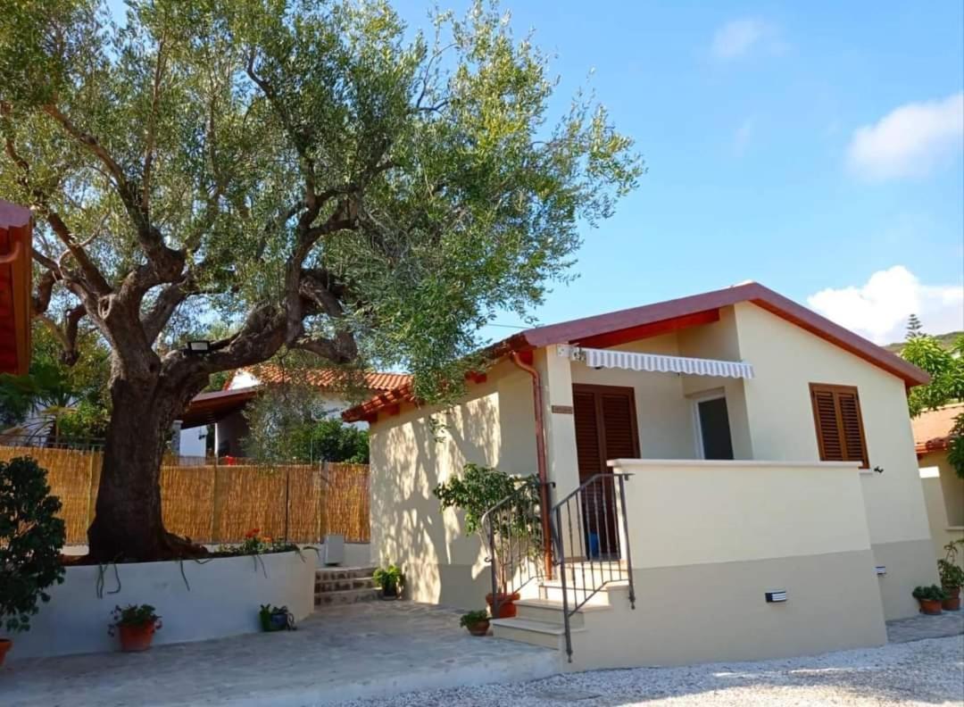 Case Vacanze La Quercia Marina di Camerota Exterior photo