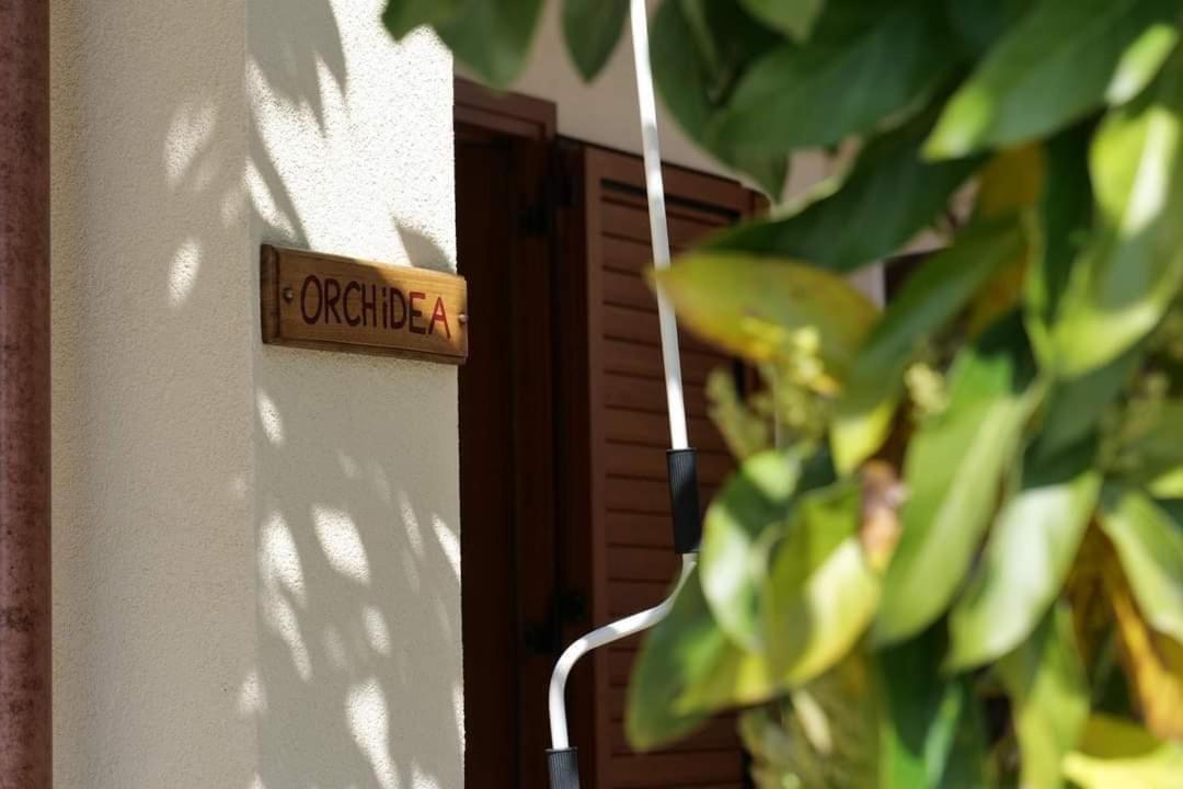 Case Vacanze La Quercia Marina di Camerota Exterior photo
